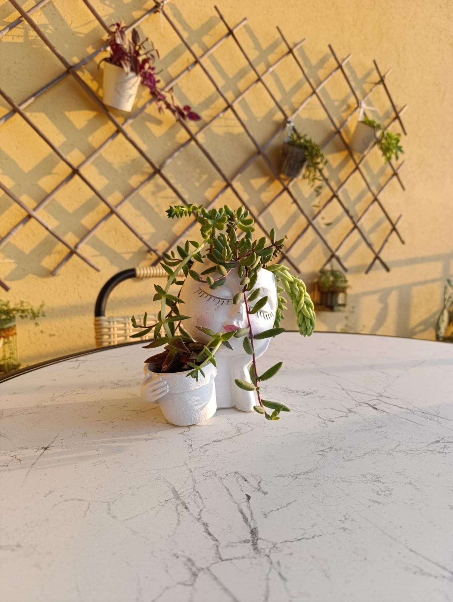 Ferula Loft Bed & Breakfast Sortino Ngoại thất bức ảnh